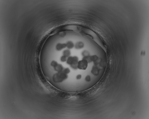 X0000091240352200708231722