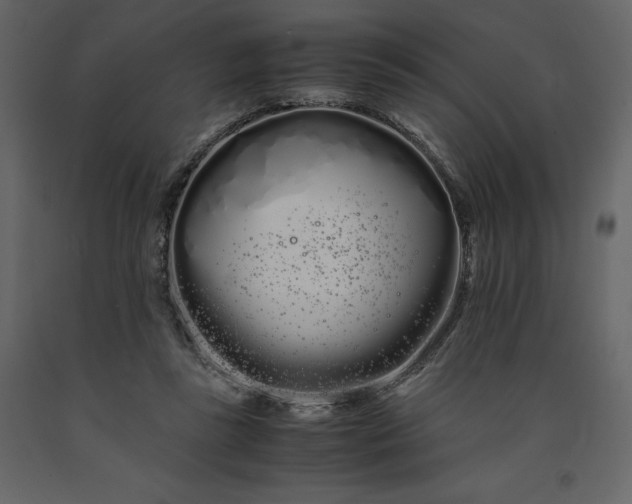 X0000091240355200708231722
