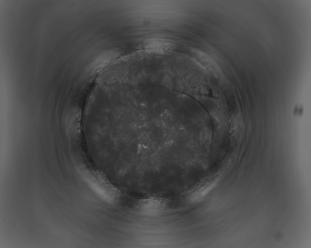 X0000091240356200708231722