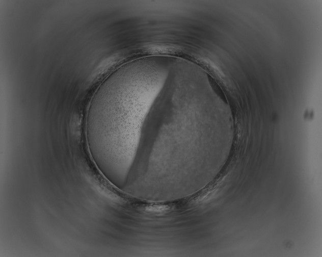 X0000091240357200708231722