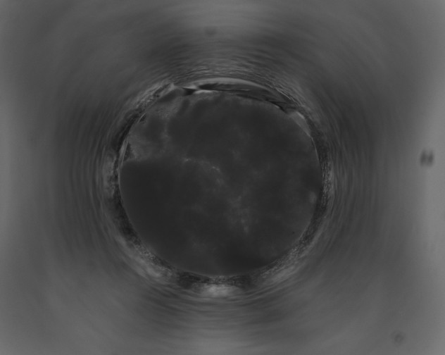 X0000091240360200708231722