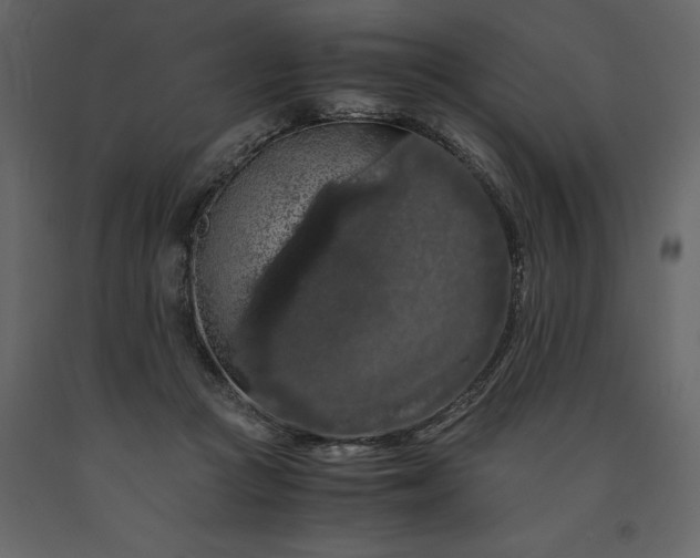 X0000091240361200708231722