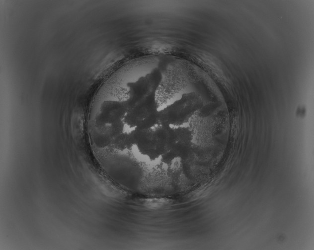 X0000091240363200708231723