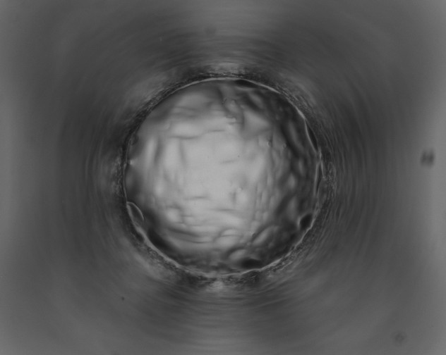 X0000091240364200708231723