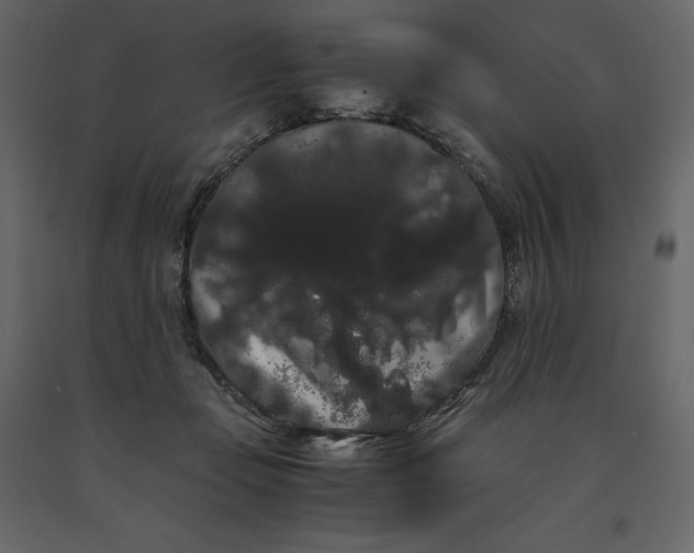 X0000091240365200708231723