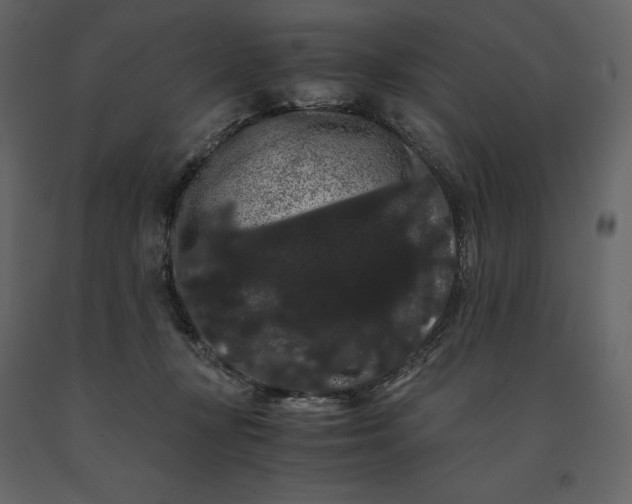 X0000091240367200708231723