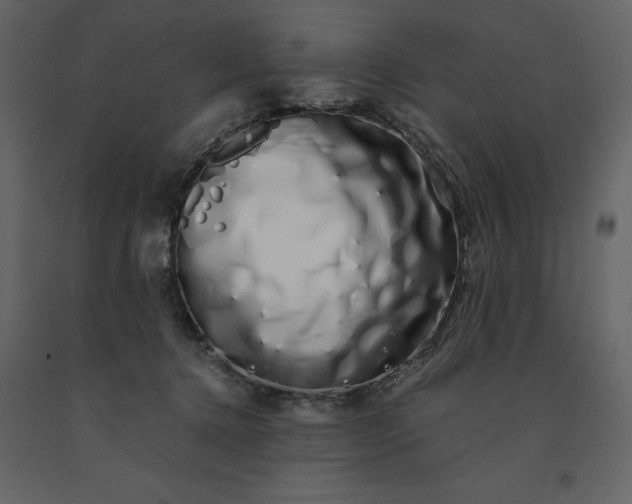 X0000091240368200708231723