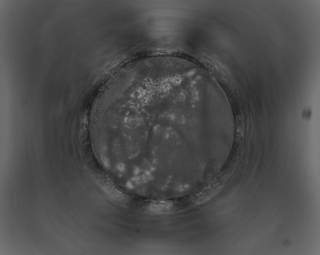 X0000091240369200708231723