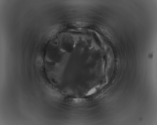 X0000091240371200708231723