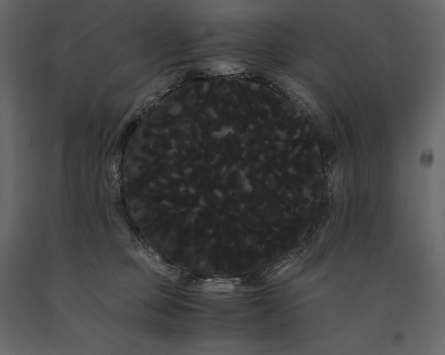 X0000091240373200708231723