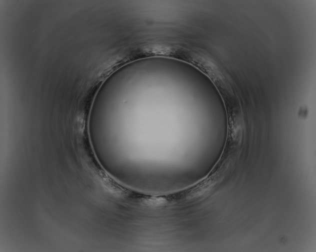 X0000091240374200708231723