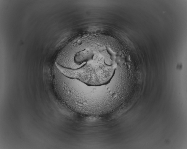 X0000091240375200708231723