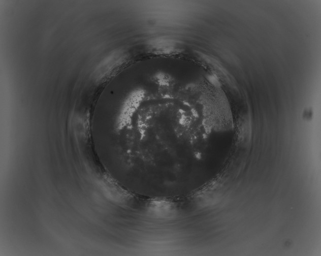 X0000091240376200708231723