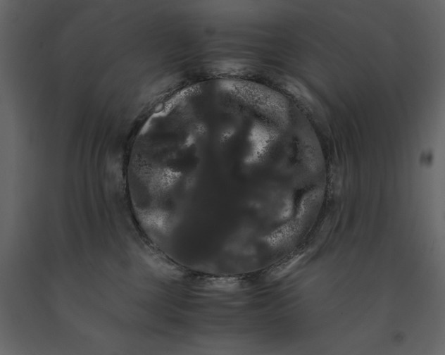 X0000091240377200708231723