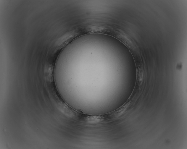 X0000091240378200708231723