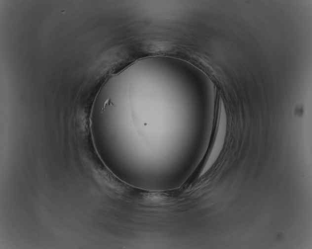 X0000091240380200708231723