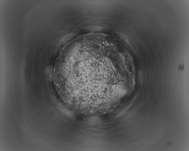 X0000091240383200708231723
