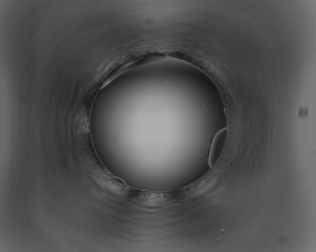 X0000091240384200708231723