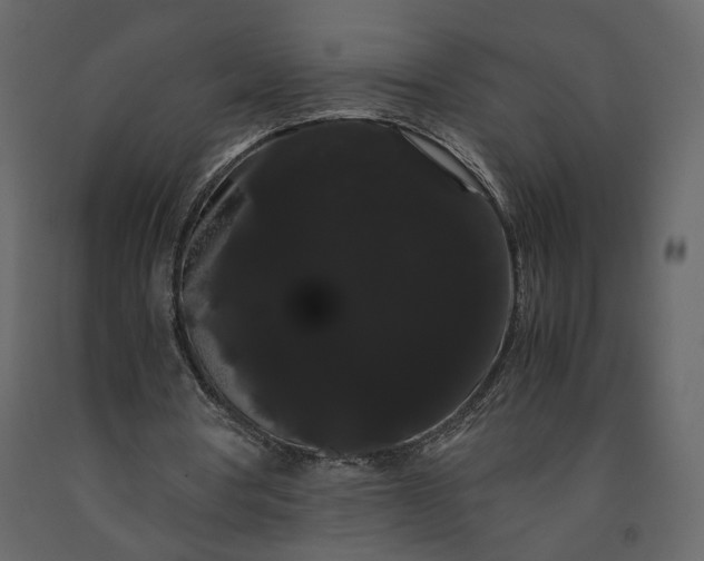 X0000091240386200708231722