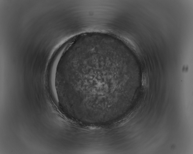 X0000091240388200708231722