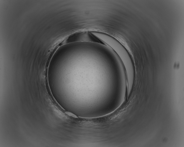 X0000091240389200708231722