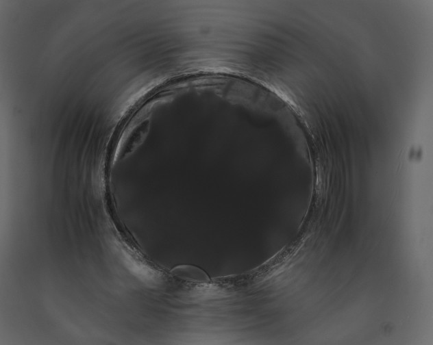 X0000091240390200708231722
