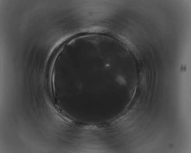 X0000091240392200708231722