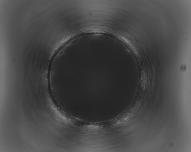 X0000091240394200708231722