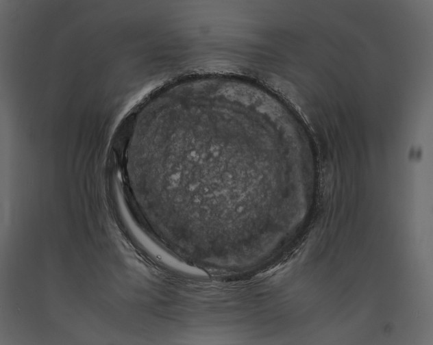 X0000091240395200708231722