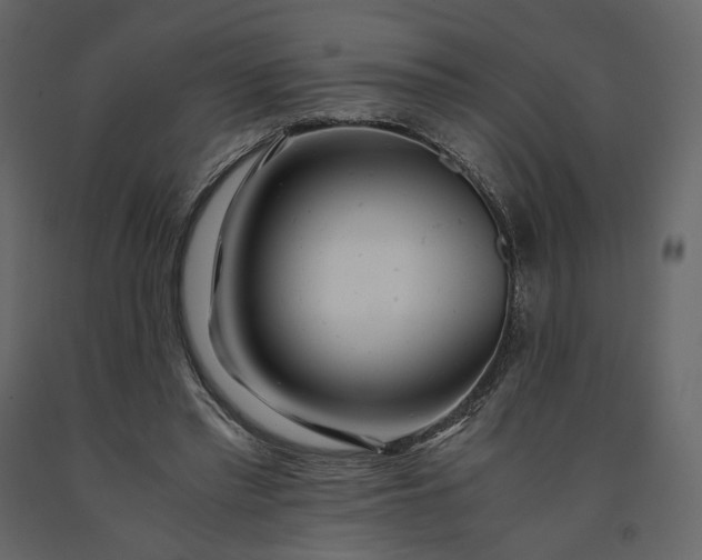 X0000091240397200708231722
