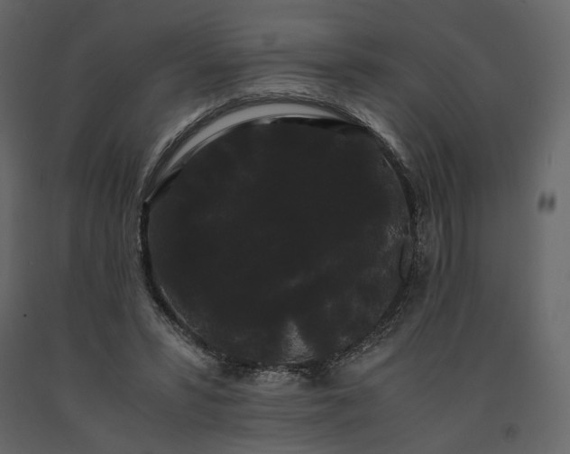 X0000091240399200708231722
