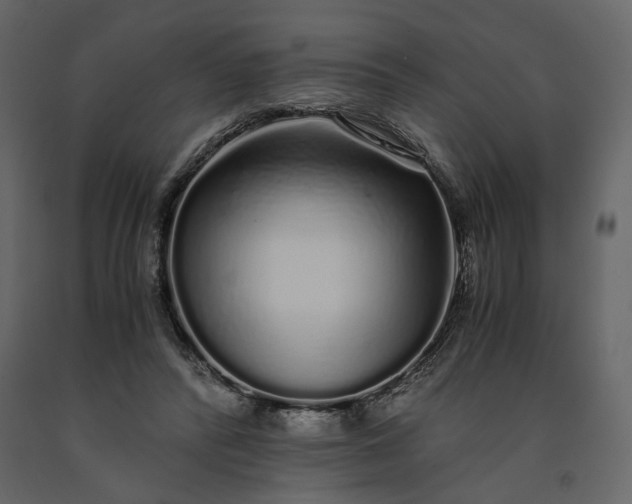 X0000091240400200708231722