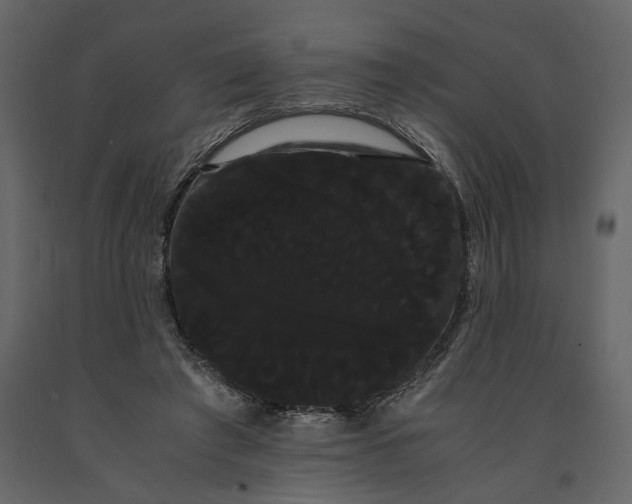 X0000091240401200708231722