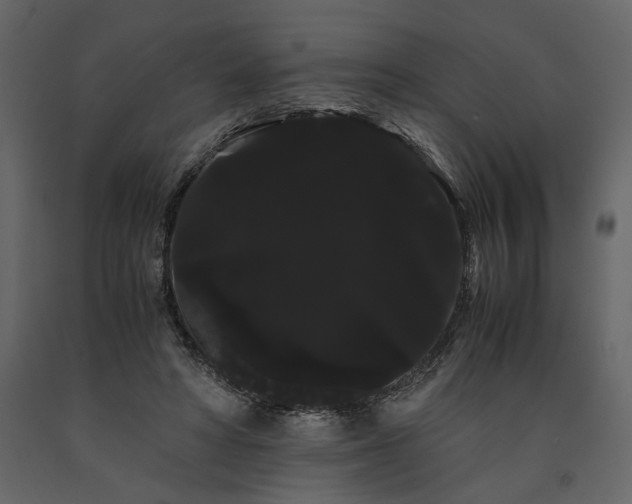 X0000091240402200708231722