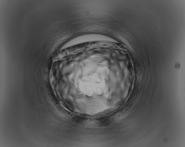 X0000091240403200708231722