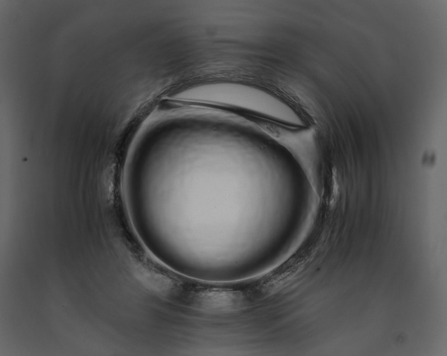 X0000091240404200708231722