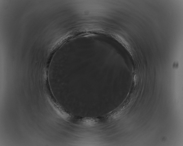 X0000091240405200708231722