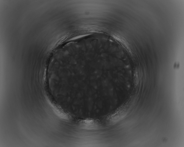 X0000091240406200708231722