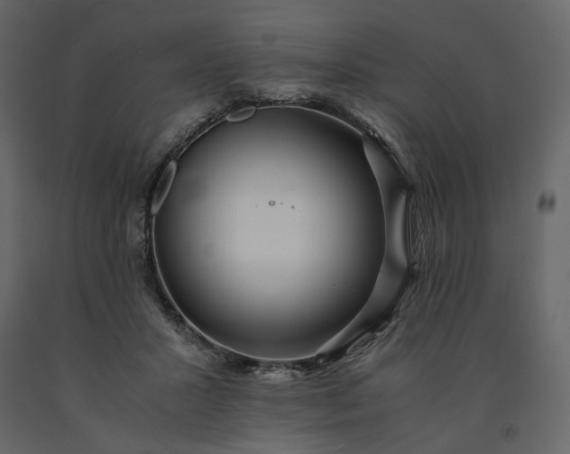 X0000091240407200708231722