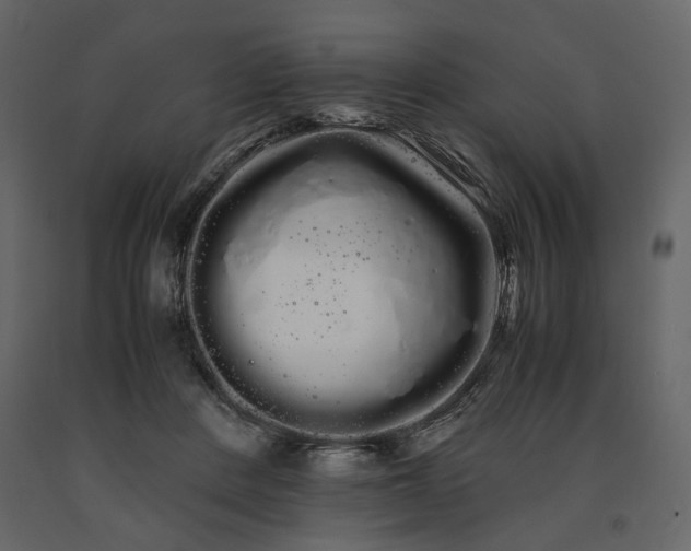 X0000091240408200708231722