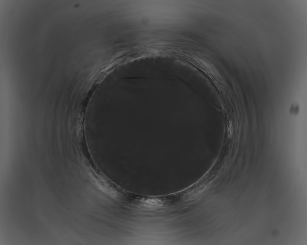 X0000091240409200708231722