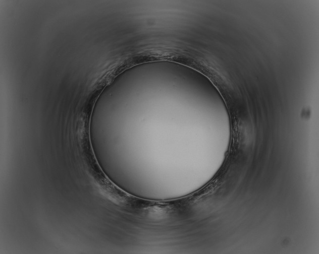 X0000091240412200708231722