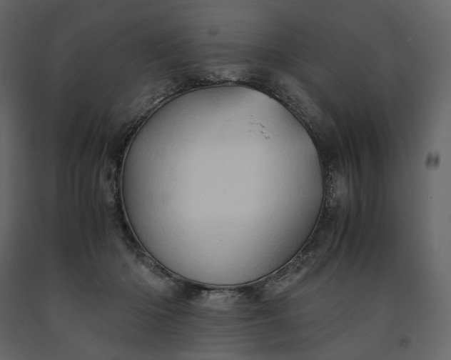 X0000091240414200708231722