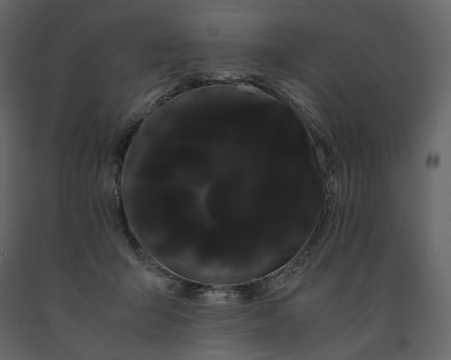 X0000091240415200708231722