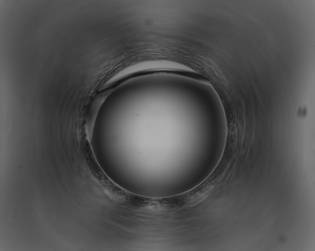 X0000091240416200708231722