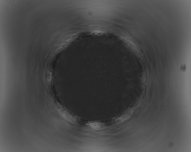 X0000091240417200708231722