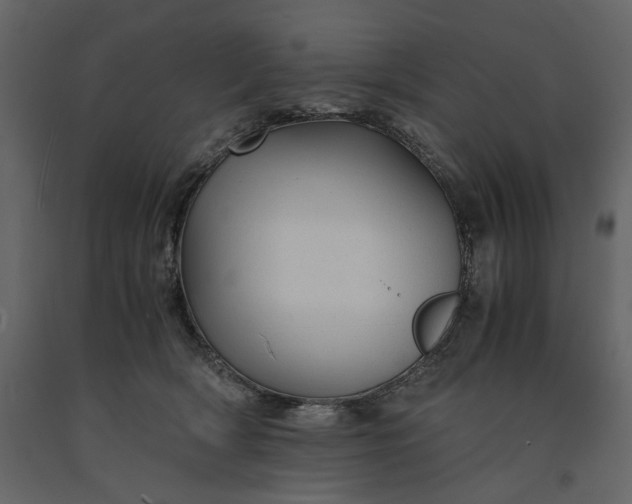 X0000091240418200708231722