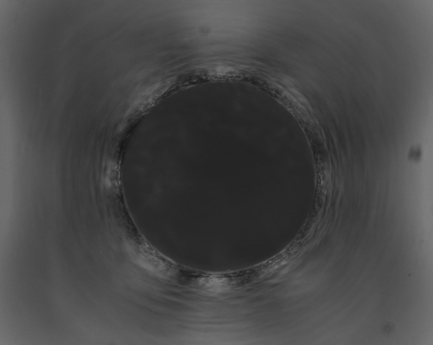 X0000091240419200708231722