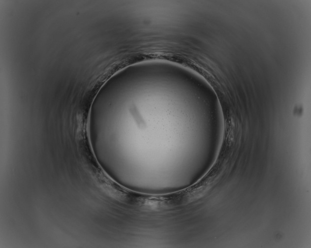 X0000091240420200708231722