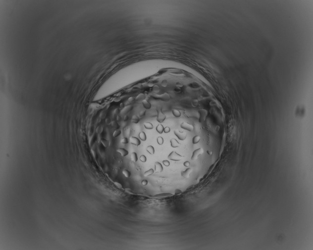X0000091240421200708231722